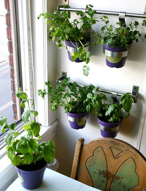 tHE gOOD LIFe: DIY: Herb Wall in the Kitchen Wall Plants Indoor, Plant Wall Diy, Vertical Herb Gardens, Window Herb Garden, Herb Garden Wall, Outdoor Herb Garden, Indoor Plant Wall, Wall Planters Indoor, Herb Wall