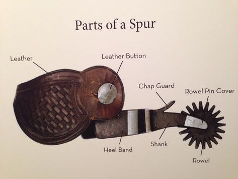 Parts of a Spur - all those 'do dillies' now explained! Thanks Witte Museum! #spurs#rustic#infographic#design#country#western Western Assassin, Spurs Tattoo Western, Boot Spurs Drawing, Spur Straps Pattern, Boot Spurs, Western Journal, Spurs Logo, Cowboy Spurs, Spurs Western