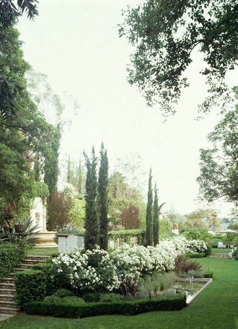 How gorgeous is this garden? How about in center going up a few stairs to pool or back patio Italian Cypress, Tuscan Garden, Aesthetic Garden, Bamboo Garden, Garden Mini, Garden Aesthetic, Italian Garden, Moon Garden, Mediterranean Garden