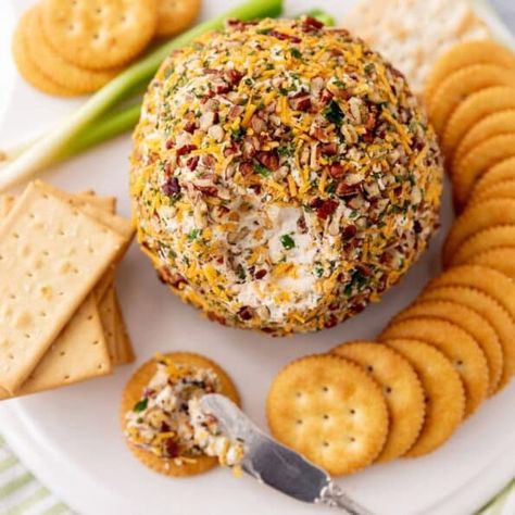 Pioneer Woman Bacon Ranch Cheese Ball Christmas Tree Cheese Ball, Bacon Ranch Cheese Ball Recipe, Bacon Ranch Cheese Ball, Ranch Cheese Ball, Christmas Tree Cheese, Cheese Ball Recipes Easy, Cheddar Cheese Ball, Woman Images, Bacon Appetizers