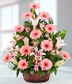 Arreglo floral de gerberas y lirios ideal para regalar este Dia de la Madre. Basket Flower Arrangements, Săpunuri Handmade, Altar Flowers, Large Flower Arrangements, Church Flower Arrangements, Flower Arrangements Simple, Rose Arrangements, Sympathy Flowers, Flower Arrangements Diy