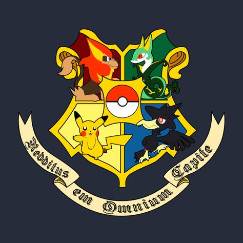 Pokemon House, Harry Potter Crossover, Disney Hogwarts, Pokemon Crossover, Hp Harry Potter, Harry Potter Artwork, Team Avatar, Catch Em All, Pokemon Art