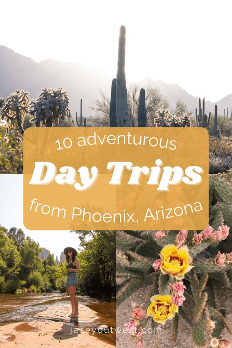 10 adventurous day trips from Phoenix | Jacey Out West Phoenix Day Trips, Day Trips From Phoenix Az, Phoenix Botanical Garden, Sedona Travel, Fossil Creek, My Schedule, Out West, Santa Catalina, Natural Bridge