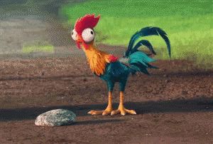 Hei Hei, Moana, Rooster, Gif, Chicken