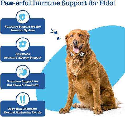 Maximize Dog Health – Try Advanced Aller-Immune Bites. Enhanced with EpiCor & Salmon Oil for immune & allergy support. Omega 3 Wild Alaskan Salmon Fish Oil, Quercetin & EpiCor + Digestive Prebiotics & Probiotics - Anti Itch & Hot Spots Allergies - 90 Count Dog Allergy, Probiotics For Dogs, Alaskan Salmon, Prebiotics And Probiotics, Anti Itch, Salmon Fish, Allergy Relief, Healthy Bacteria, Pet Supplements