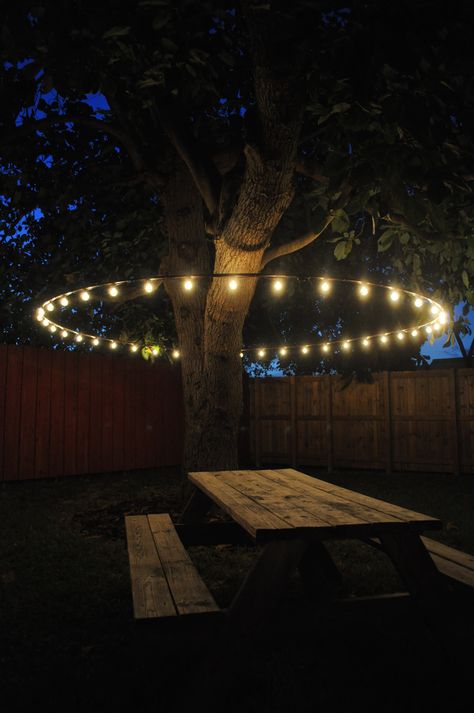 Dreamy Patio, Diy Wedding Lighting, Patio Yard Ideas, Pergola Diy, Diy Wedding On A Budget, Lights Patio, Backyard Trees, Diy String Lights, Patio Pergola