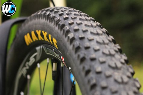 Maxxis Tire Guide: Which Maxxis Tire Is Right For You? (One Stop Shop) | Worldwide Cyclery Trike Bicycle, Mountain Bike Tires, Bicycle Tires, Bike Tire, Bicycle Design, Trail Riding, New Tyres, Bike Trails, One Stop Shop