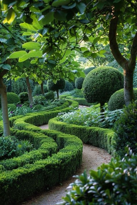 Large Garden Ideas, Formal Garden Design, Boxwood Garden, Garden Layouts, European Garden, Estate Garden, Garden Decor Ideas, Formal Design, Formal Garden