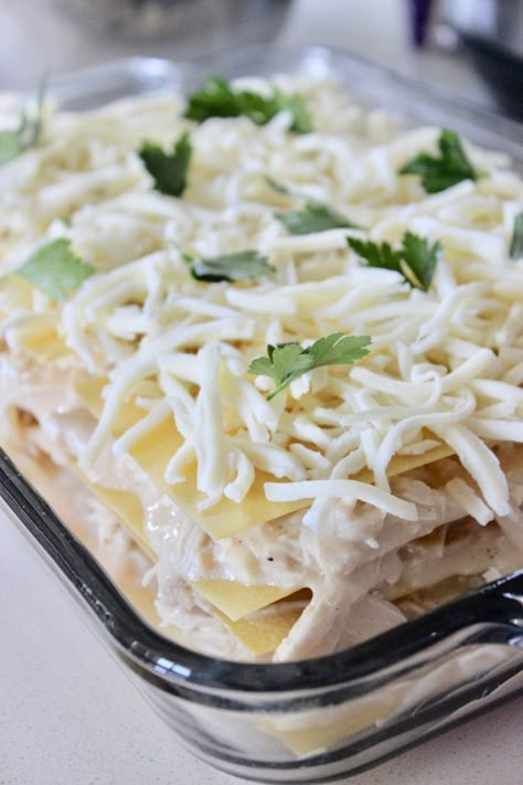 Chicken Alfredo Lasagna Lasagna Recipe Chicken, Lasagna Oven Ready Noodles, Easy Chicken Lasagna Recipe, Alfredo Lasagna Recipe, Lasagna With White Sauce, Recipes With Lasagna Noodles, Chicken Alfredo Lasagna Recipe, Lasagna With Cottage Cheese, Chicken Lasagna Recipe