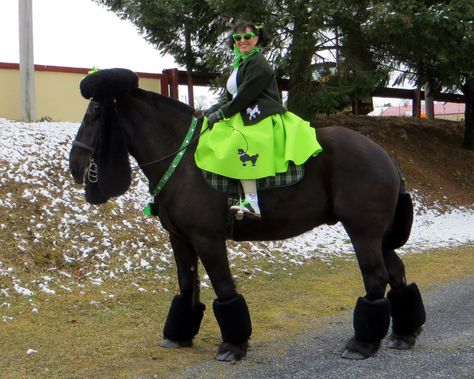 Poodle halloween horse costume Horse And Rider Costumes, Horse Halloween Costumes, Horse Halloween, Pet Pug, Horse Costumes, Bay Horse, Horse Dressage, Horse And Rider, Horse Diy