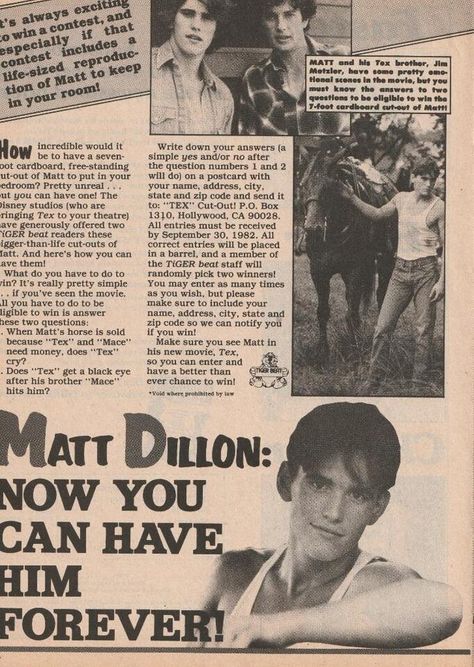 Matt Dillon Wallpaper, Mat Dillon, Pants Photoshoot, Young Matt Dillon, Random Hacks, 80s Actors, Dallas Winston, Hottest Guys, Tiger Beat