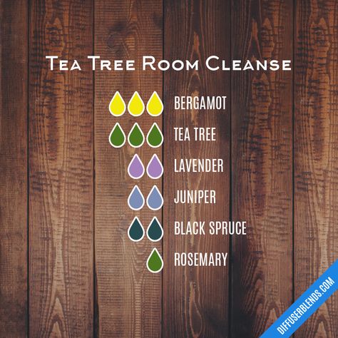 Tea Tree Room Cleanse Tea Tree Diffuser Blends, Pot Potpourri, Emotions And Essential Oils, Bergamot Tea, Scent Blends, Eo Blends, Sage Tea, Diy Belt, Potpourri Recipes