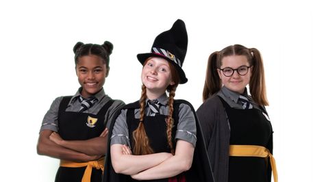 Worst Witch Costume, Bad Witch Costume, Worst Witch, Witch Party, Costume Tutorial, Black Cape, The Worst Witch, Bee Art, Witch Costume