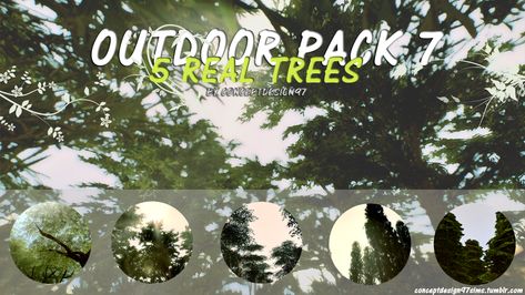 TS4 - Outdoor Pack 7 - 5 Real Trees DOWNLOAD : SimFileShare | Mediafire If you like it, let me a “like” or reblog me and Enjoy !! (｡◕‿◕｡) Tag ‘conceptdesign97sims’ or ’ CD97’  if you use it ;) ABOUT... Sims 4 Kitchen, Outside Plants, Landscape Rock, Sims 4 Clutter, Sims Games, Sims 4 Update, Sims 4 Cc Furniture, Real Tree, Sims 4 Build