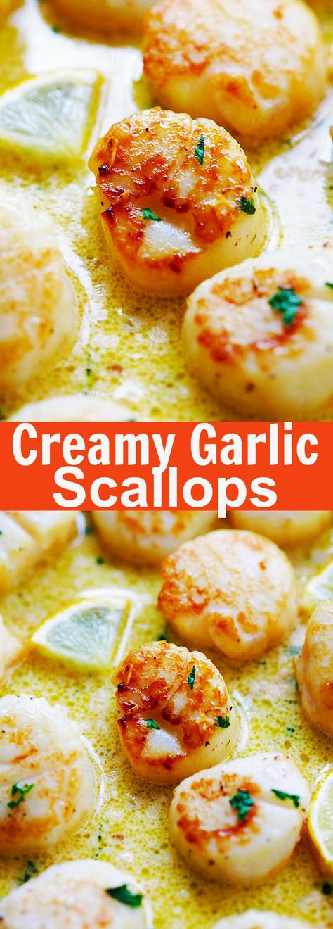 Creamy Scallops, Garlic Scallops Recipe, Best Scallop Recipe, Scallops Recipes, Garlic Scallops, Scallop Recipe, Scallops Recipe, Scallop Recipes, Think Food