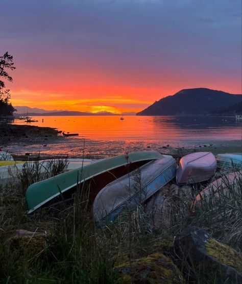 British Columbia Summer, Vancouver Island Aesthetic, British Columbia Aesthetic, Vancouver Aesthetic, Vancouver Summer, Canadian Summer, Salt Spring Island Bc, Granville Island Vancouver, Victoria Vancouver Island