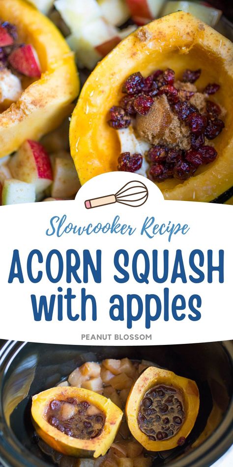 While your main dish is in the oven, make this easy side dish right in your slow cooker! Acorn squash with apples and craisins: a little brown sugar, cinnamon, and maple syrup make this the hit of a fall dinner. Would make a great thing to bring for Thanksgiving too! Slow Cooker Acorn Squash, Acorn Squash With Apples, Squash Crockpot, Squash Side Dish, Christmas Crockpot, Crockpot Veggies, Peanut Blossoms, Peanut Gallery, Potato Gravy