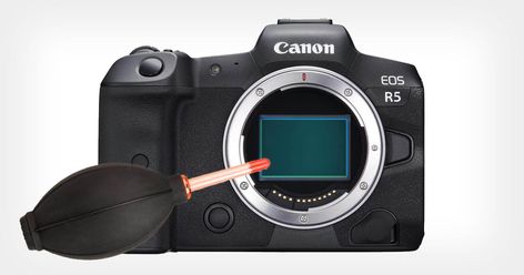 A Step-by-Step Guide to Cleaning Your Camera Sensor | PetaPixel Camera Sensor, Vintage Film Camera, Nikon D7100, Lighter Fluid, Old Cameras, Camera Shop, Compressed Air, Handheld Vacuum, Vintage Film