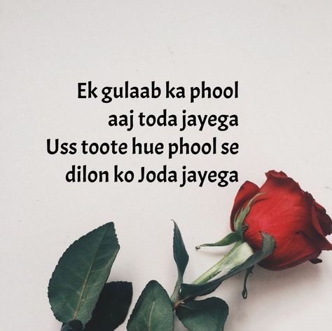 Rose Day Shayari, Rose Day Quotes, Sms English, Festival Wishes, Rose Day, Love Shayri, Shayari Hindi, Girly Attitude Quotes, Mixed Feelings Quotes