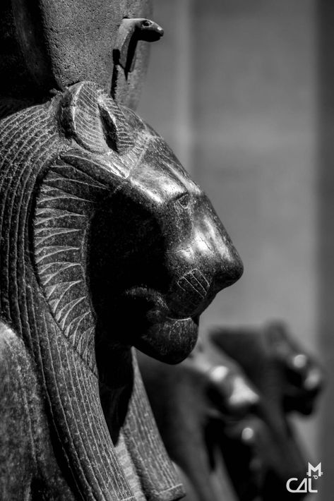 Sekhmet Aesthetic, Ancient Egypt Civilization, Goddess Sekhmet, Ancient Egyptian Architecture, Places In Egypt, Ancient Egypt Gods, Ancient Egyptian Artifacts, Le Louvre, Ancient Goddesses