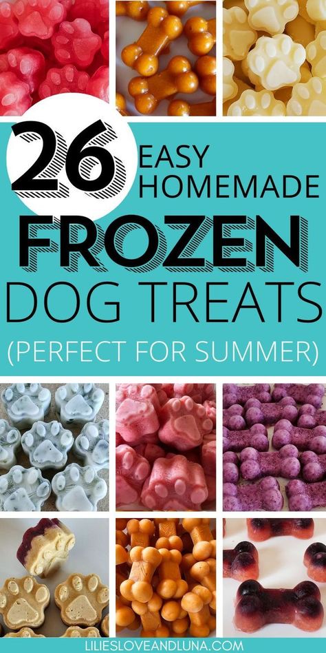 Homemade Frozen Dog Treats for Summer Dog Popsicles Recipe, Dog Treats For Summer, Dog Treats To Make, Homemade Frozen Dog Treats, Summer Dog Treats, Frozen Dog Treats Recipes, Dog Popsicles, Popsicles Recipes, Dog Homemade