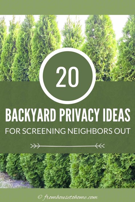 I love these backyard privacy ideas. Great ideas for pergolas, trellises, and privacy screens that will help to keep the neighbors from seeing into your yard. #fromhousetohome #gardenprivacy  #gardendesign #gardenstructures Backyard Privacy Ideas, Natural Privacy Fences, Privacy Trellis, Yard Privacy, Privacy Ideas, Natural Fence, Patio Privacy, Privacy Fence Designs, Privacy Landscaping