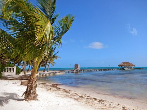 San Pedro definitely wasn't love at first sight.  I despised the garbage along the beach, the seemingly looking "run-down" town, and the millions of no-see Map Of Belize, Belize Honeymoon, Belize Flag, Caye Caulker Belize, Placencia Belize, San Pedro Belize, Belize Beach, Ambergris Caye Belize, Belize Resorts