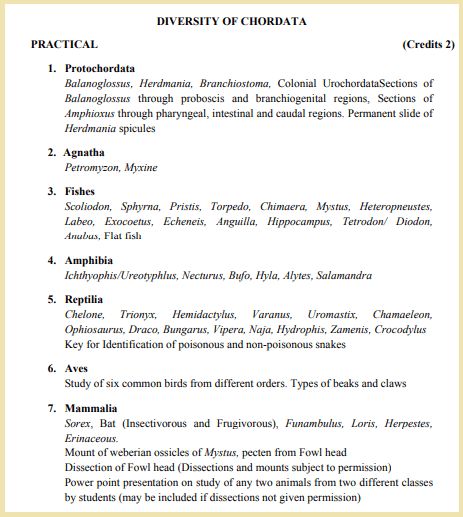 BSc Zoology Syllabus: 1st, 2nd & 3rd Year [PDF] - 2021 Edition Zoology Notes, Photoshop Hair, Evolutionary Biology, Course Syllabus, Common Birds, Second Semester, Cell Biology, Molecular Biology, 1st Year