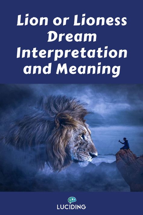 Lions in dreams can be interpreted in many ways and we will take a look at some of them here. Lions are strong, courageous, aggressive, and powerful. Dreaming about them can often relate to power in your life, but this can be either that you are powerful or that someone has power over you. Lion Dream Meaning, Lioness Meaning, Dreams Psychology, Lion Meaning, Symbols Spiritual, Symbol Meanings, Psychic Dreams, Female Lion, Dream Dictionary