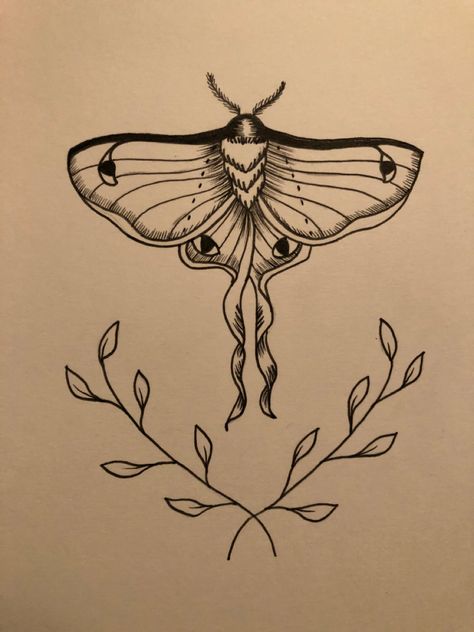 Black and white, clean and simple tattoo idea, forearm placement for easy tattooing by jessica.blossom.ink Moth Tattoo Simple Design, Luna Moth Tattoo Design Simple, Lunar Moth Tattoo Design Simple, Tattoo Idea Forearm, Lunar Moth Drawing Simple, Moth Tattoo Simple, Simple Moth Tattoo, White Witch Moth Tattoo, Black Witch Moth Tattoo