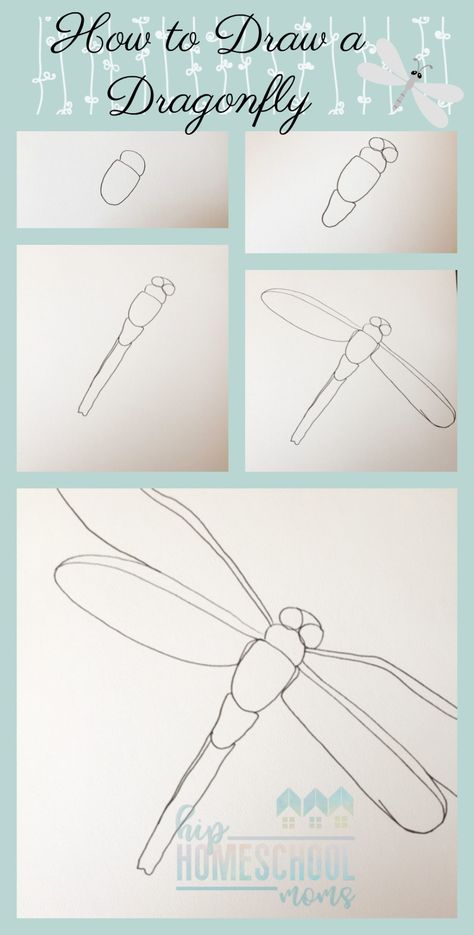 Draw a dragonfly and add patterns to create a unique zentagle project. Dragonfly Artwork Drawings, Dragonfly Drawing Watercolor, Dragonfly How To Draw, Dragon Flies Art, How To Draw A Dragon Fly, How To Draw A Dragonfly Step By Step, How To Paint A Dragonfly, Paint Dragonfly, Dragonfly Paintings