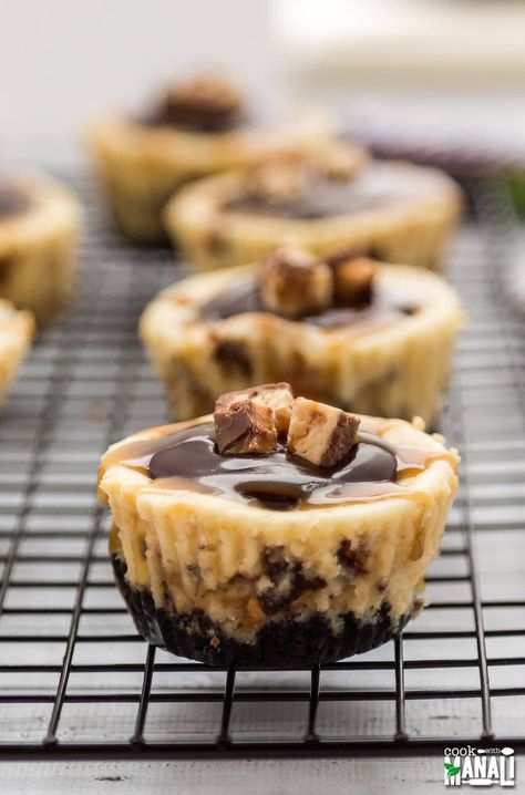 Snickers Recipes, Snickers Recipe, Snickers Cheesecake, The Cheesecake Factory, Cheesecake Mini, Caramel Topping, Devils Food, Mini Cheesecakes, Creamy Cheesecake