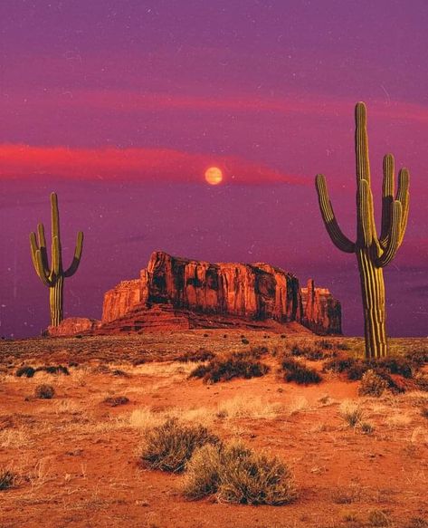 Desert Aesthetic, Desert Vibes, Trending Pins, Desert Art, Western Aesthetic, Pretty Landscapes, Arte Inspo, Western Art, Pretty Places