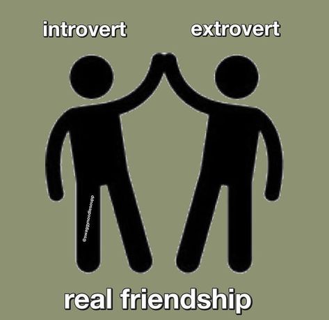 Introvert And Extrovert, Peter Pettigrew, Extroverted Introvert, Real Friendship, Lily Evans, Okay Gesture, I Am Awesome, Memes, Quotes