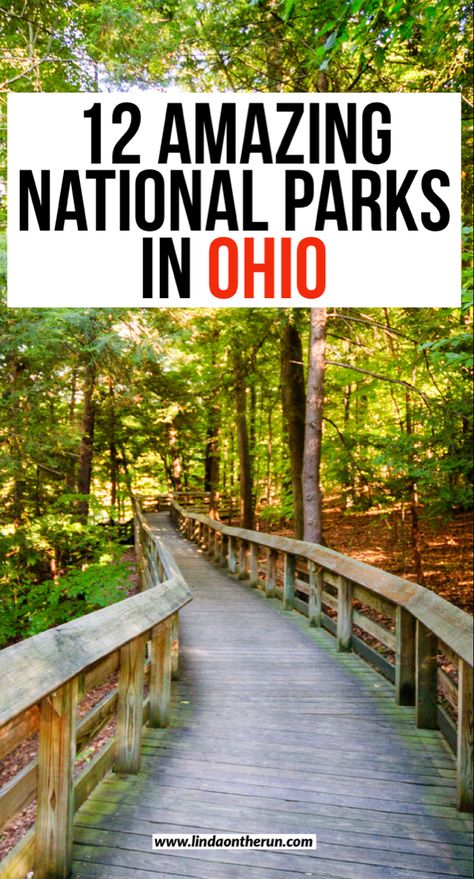 Charming boardwalk in Cuyahoga National Park leading through a lovely green forest. Ohio Bucket List, Ohio Waterfalls, Ohio Getaways, Ohio Hiking, Ohio Attractions, Ohio Vacations, Ohio State Parks, Best National Parks, American National Parks