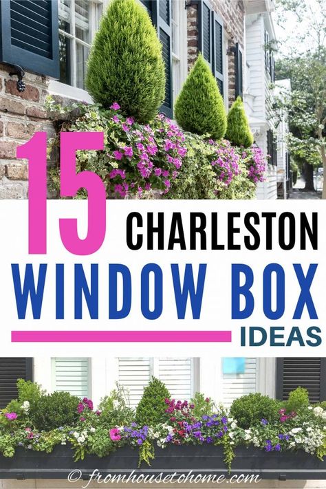 These ideas for window boxes are gorgeous! Whether you are planting them in full sun or shade, there are flower combinations that will work for you and look beautiful all summer long. Large Window Boxes Ideas, Window Box Design Ideas, Planter Box Flower Arrangements, Window Flower Box Ideas Full Sun, Poolside Flowers, Window Boxes Ideas, Flower Box Ideas, Green Mountain Boxwood, Impatiens Plant