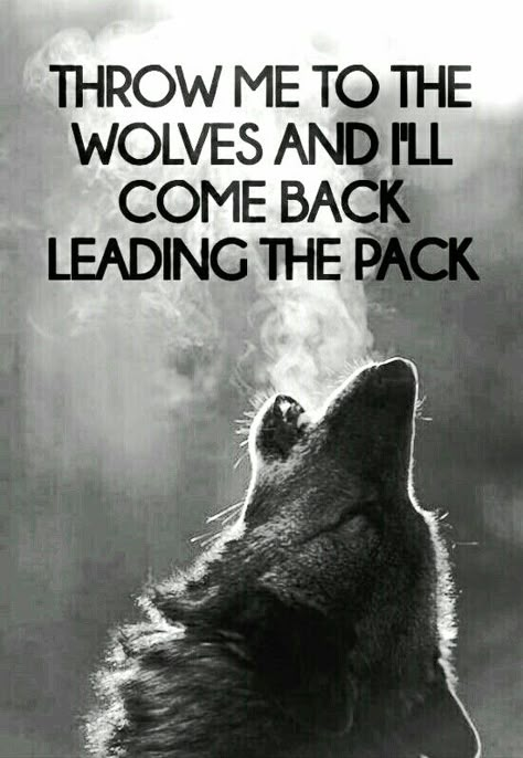 Alpha Quotes, Alpha Male Quotes, Alpha Quote, True Alpha, Lone Wolf Quotes, Alpha Werewolf, Cant Take Anymore, Alpha Wolf, Wolf Quotes