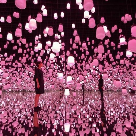 Building Digital Art, Digital Art Museum, Teamlab Borderless, Rebecca Louise, Pink Lights, Heian Era, Mirror Installation, Carved Wood Sculpture, Flower Mirror