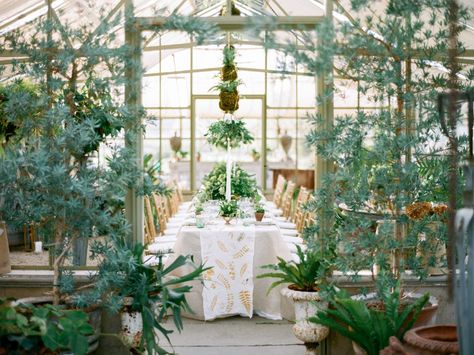 7 Lush New Jersey Garden Venues | https://www.theknot.com/content/new-jersey-garden-wedding-venues Wedding Venues Indoor, Nj Wedding Venues, Smallest Wedding Venue, Garden Venue, Greenhouse Wedding, Garden Wedding Venue, Rustic Wedding Venues, Wedding Event Venues, Unique Wedding Venues