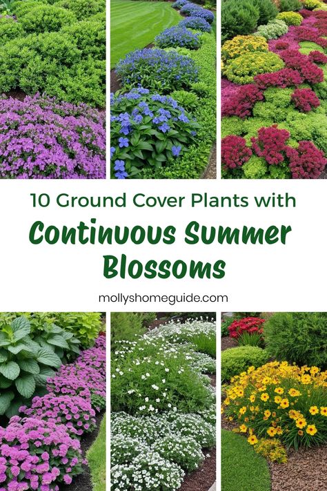 Discover the best ground cover plants that bloom all summer, perfect for creating effortless beauty in your landscape. These vibrant and drought-tolerant perennials are not only low-maintenance but also ideal for adding color to any garden. Whether you're looking for ground cover plants for shade or sun, these beautiful options ensure a colorful display throughout the season. Explore our selection of ground cover flowers that thrive in various conditions and bring charm to your outdoor space. Flower Ground Cover, Ground Covers For Sun, Ground Cover Flowers, Best Ground Cover Plants, Moss Phlox, Plants For Shade, Drought Tolerant Perennials, Ground Covers, Snow In Summer