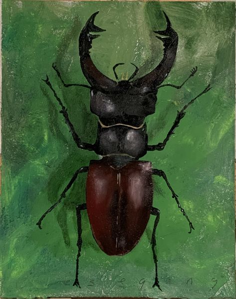 Bugs Painting, Bug Paintings On Canvas, Beetle Painting, Bug Acrylic Painting, Insect Oil Painting, Acrylic Inspiration, Inspo Art, Bug Art, 3d Drawings