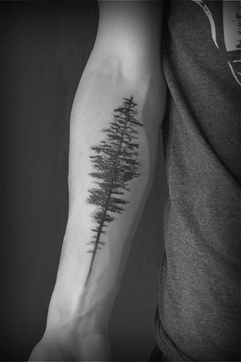 Pine Tree Camping Tattoo, Tree Scar Tattoo, Mens Nature Tattoo Simple, Tree On Forearm Tattoo, Male Tree Tattoo, Pine Tree Arm Tattoo, Trees Tattoo Men, Forearm Tree Tattoo For Men, Men’s Tree Tattoo