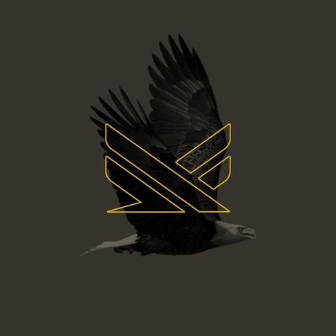 Francesco • Logo & Branding on Instagram: “Fly high 🦅 . francescobonetti.com . . #logo #drop #graphicdesign #eagle #designfeed #logodesigner #logodesign #designer #graphicdesigner…” Eagle Logo Design, Fly Safe, Logo Sketches, Book Logo, Fly Logo, Eagle Logo, Conceptual Design, Premium Logo, Fly High