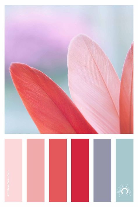 Color Combinations Pastel, Color Psychology Personality, Combination Color, Red Color Combinations, Blue Color Combinations, Complimentary Color Scheme, Red Colour Palette, Brown Color Palette, Paint Color Palettes