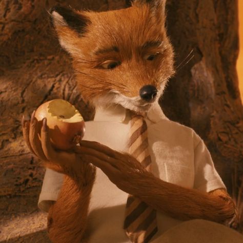 Fantastic Mr Fox Movie, Wes Anderson Characters, Fox Icon, Fantastic Fox, Wes Anderson Movies, Wes Anderson Films, Animation Stop Motion, Fantastic Mr Fox, I Love Cinema