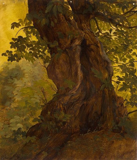 Country Witch, Tree Oil Painting, Painting Trees, Hudson River School, Forest Painting, Art Studies, Photo Reference, Tree Art, Tree Painting