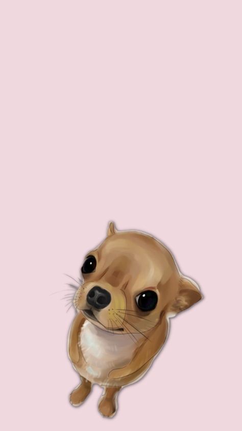 Chihuahua Wallpaper Backgrounds, Chihuahua Wallpaper Iphone, Chihuahua Wallpaper, Chihuahua Aesthetic, Iphone Wallpaper Plants, Dog Scrapbook, Chihuahua Art, Dog Spaces, Chihuahua Mom