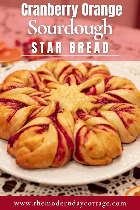 Bring festive joy to your holiday table with this sourdough cranberry orange star bread recipe! This stunning, festive star bread combines the tartness of cranberries and the brightness of orange zest with the richness of sourdough. Perfect for holiday baking, this sourdough Christmas bread is a show-stopper for gatherings or as a thoughtful homemade gift. Learn how to make this beautiful bread, perfect for creating cozy memories this season. Cranberry Orange Star Bread, Sourdough Christmas Star, Sourdough Cinnamon Star, Cranberry Orange Sourdough Bread, Sourdough Christmas Recipes, Star Bread Recipe, Sourdough Christmas, Beautiful Bread, Star Bread