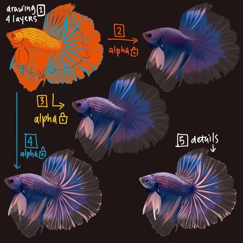 Betta Fish Reference, Fish Tutorial Drawing, Betta Fish Illustration, Betta Drawing, Betta Painting, Fish Drawing Tutorial, Betta Fish Drawing, Betta Fish Painting, Fish Digital Art