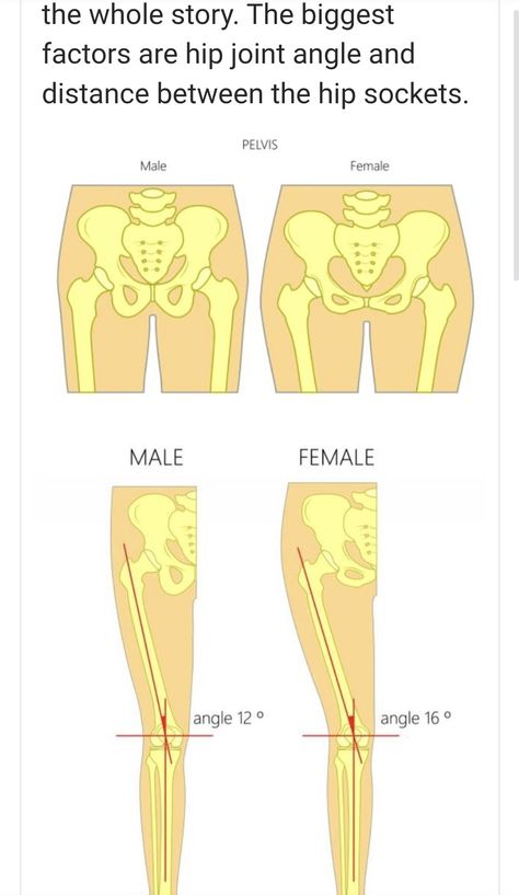 Between Male and female bones. Forensic anthropology Female Bone Structure, How To Draw Male Hips, Male Pelvis Anatomy, Forensic Sketching, Male Hips Reference, Female Hip Anatomy, Male Vs Female Anatomy, Male Pelvis, Pelvis Bone